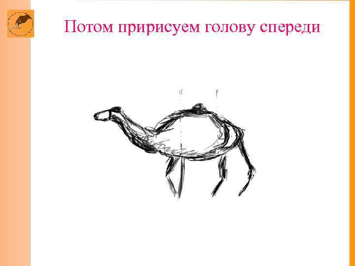 Потом пририсуем голову спереди 