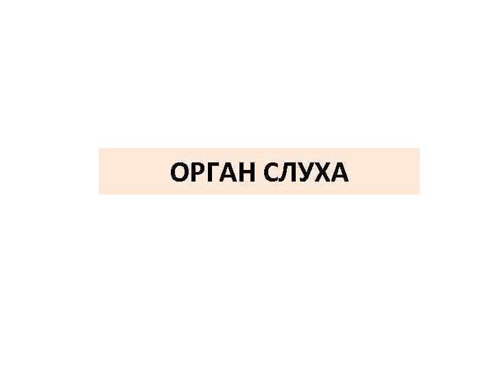 ОРГАН СЛУХА 