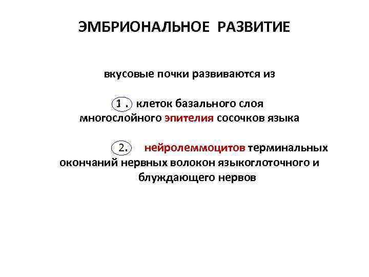 ЭМБРИОНАЛЬНОЕ РАЗВИТИЕ вкусовые почки развиваются из 1. клеток базального слоя 1. многослойного эпителия сосочков