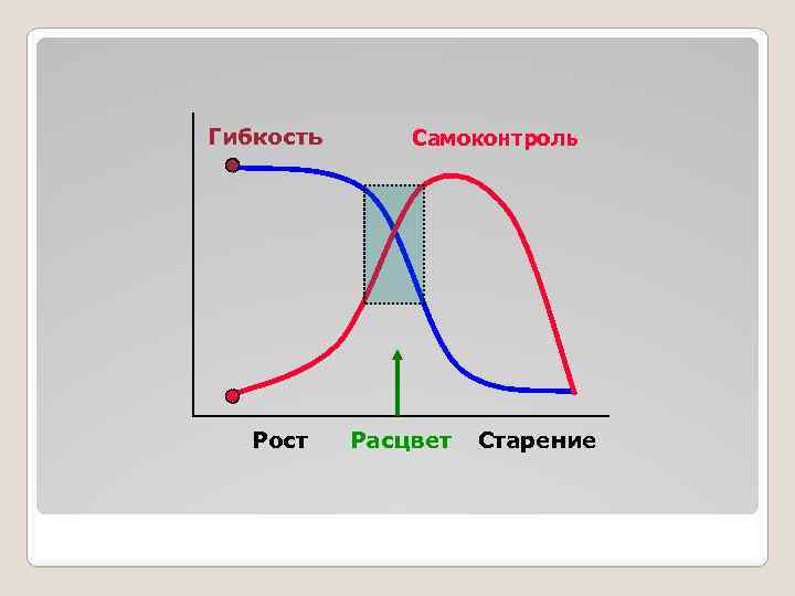 Гибкость Рост Самоконтроль Расцвет Старение 