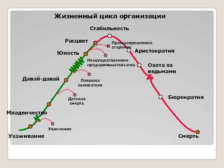 Жизненный цикл организации Стабильность Расцвет Преждевременное старение Аристократия Юность Неосуществленное предпринимательство Давай-давай Охота за