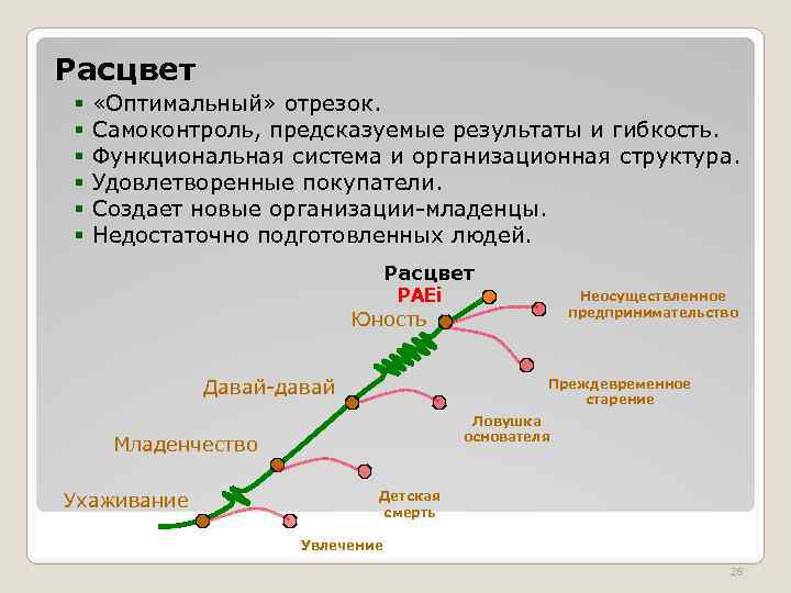 Расцвет § «Оптимальный» отрезок. § Самоконтроль, предсказуемые результаты и гибкость. § Функциональная система и