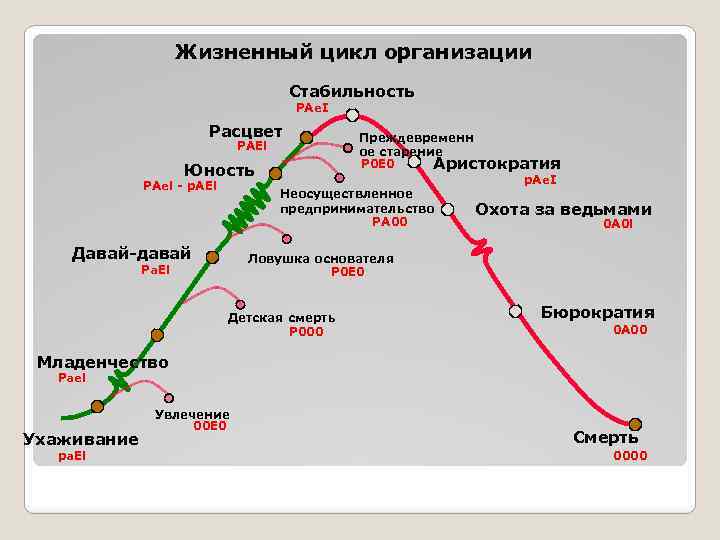 Цикл предприятия. Этапы жизненного цикла организации по Адизесу. Ицхак Адизес этапы жизненного цикла. Кривая жизненного цикла организации по Адизесу. Жизненный цикл организации (предприятия).