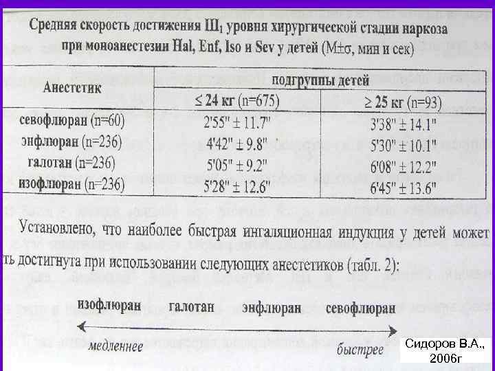 Сидоров В. А. , 2006 г 