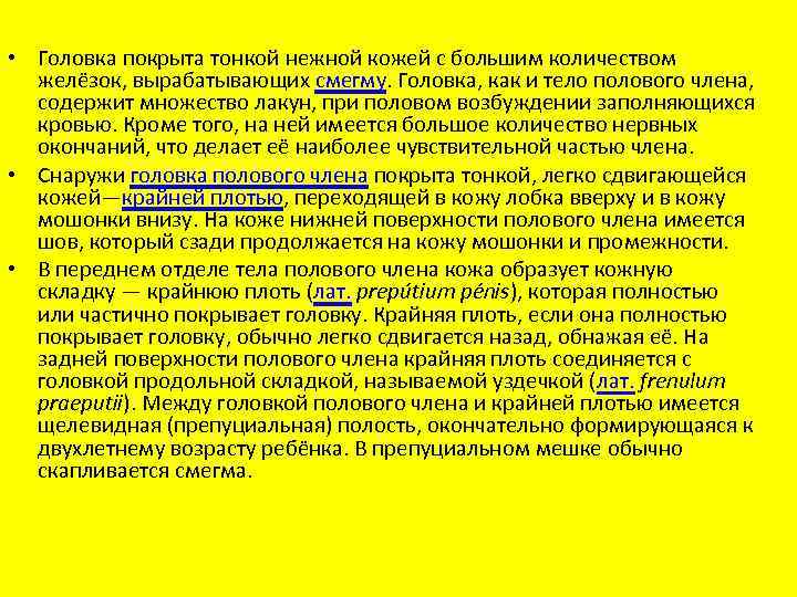  • Головка покрыта тонкой нежной кожей с большим количеством желёзок, вырабатывающих смегму. Головка,