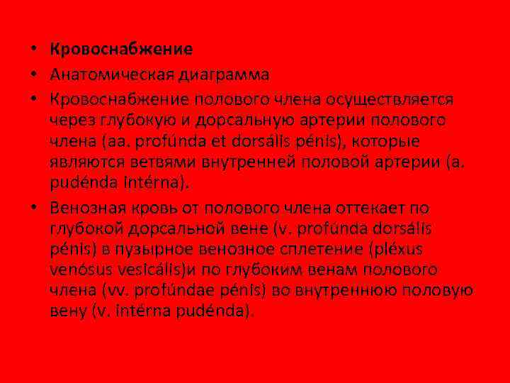  • Кровоснабжение • Анатомическая диаграмма • Кровоснабжение полового члена осуществляется через глубокую и
