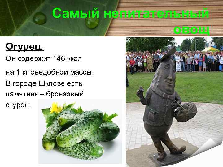 Самый непитательный овощ Огурец. Он содержит 146 ккал на 1 кг съедобной массы. В