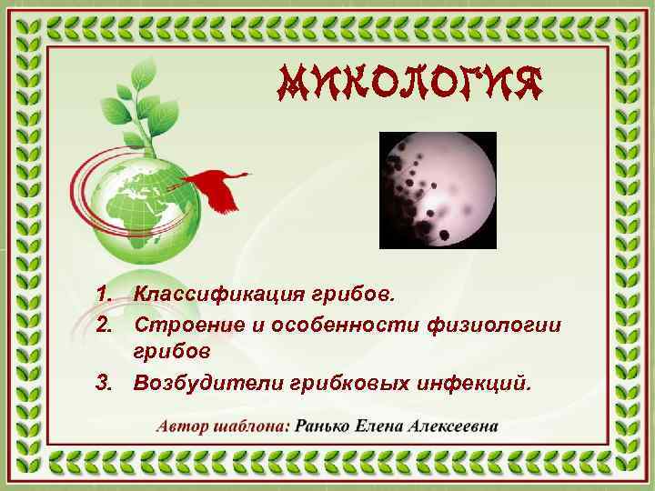 МИКОЛОГИЯ 1. Классификация грибов. 2. Строение и особенности физиологии грибов 3. Возбудители грибковых инфекций.