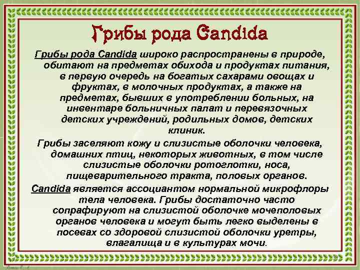 Грибы рода Candida широко распространены в природе, обитают на предметах обихода и продуктах питания,