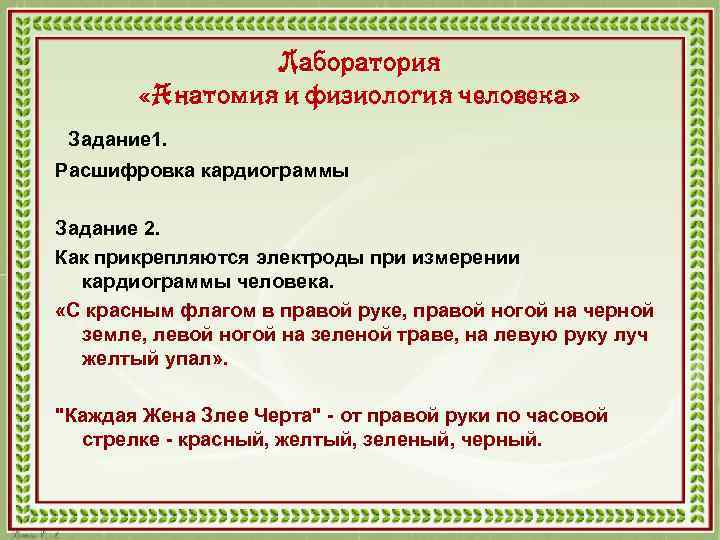 Лаборатория «Анатомия и физиология человека» Задание 1. Расшифровка кардиограммы Задание 2. Как прикрепляются электроды
