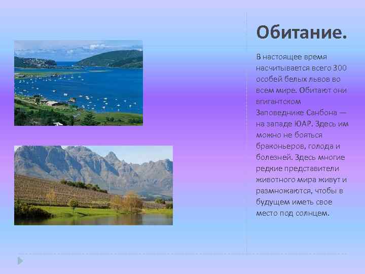 Обитание. В настоящее время насчитывается всего 300 особей белых львов во всем мире. Обитают