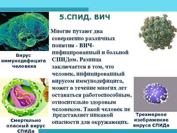 5. СПИД. ВИЧ Вирус иммунодефицита человека Смертельно опасный вирус СПИДа Многие путают два совершенно