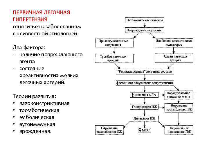 Легочная гипертензия характерна для. Механизм развития легочной гипертензии. Схема патогенеза легочной гипертензии. Первичная легочная гипертензия патогенез. Характерный признак первичной легочной гипертензии.