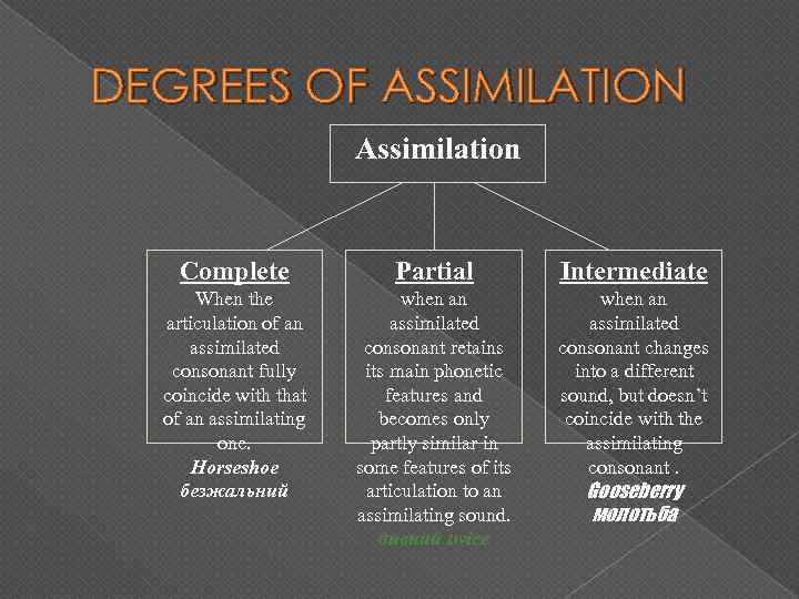 DEGREES OF ASSIMILATION Assimilation Complete Partial Intermediate When the articulation of an assimilated consonant