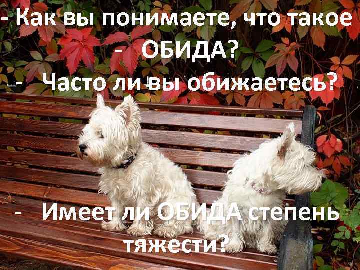 - Как вы понимаете, что такое - ОБИДА? - Часто ли вы обижаетесь? -