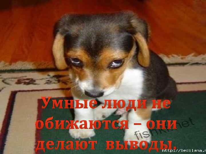 Умные люди не обижаются – они делают выводы. 