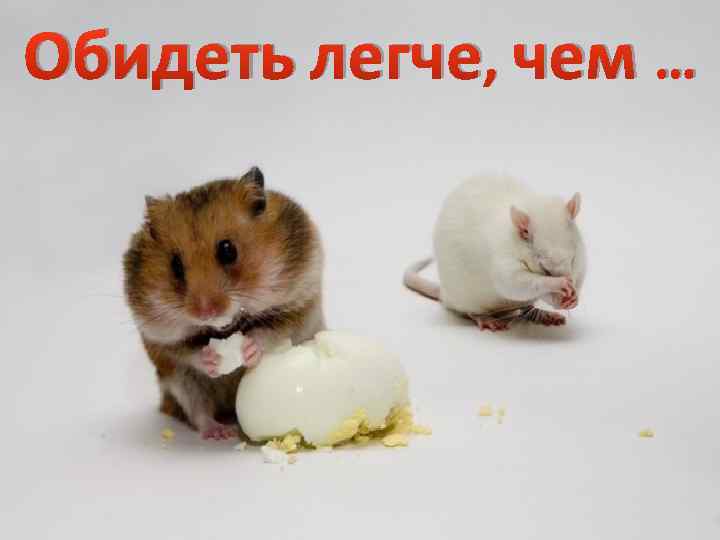 Обидеть легче, чем … 