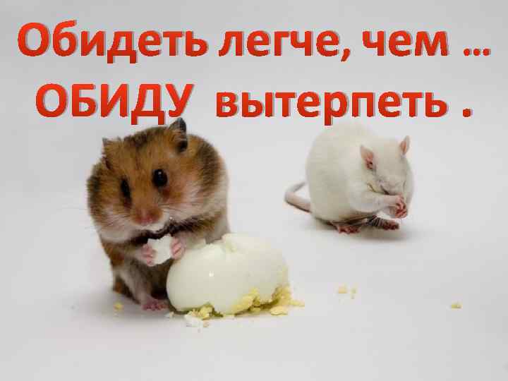 Обидеть легче, чем … ОБИДУ вытерпеть. 