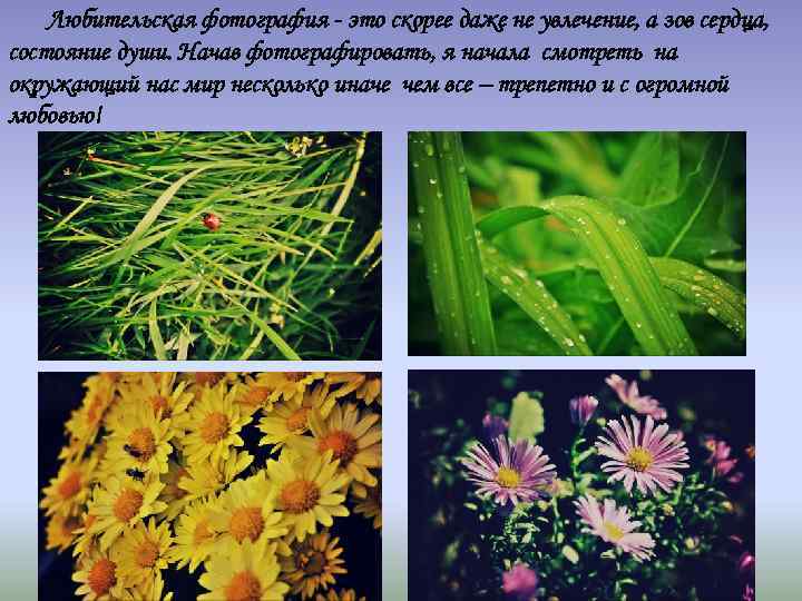 Любительская фотография - это скорее даже не увлечение, а зов сердца, состояние души. Начав