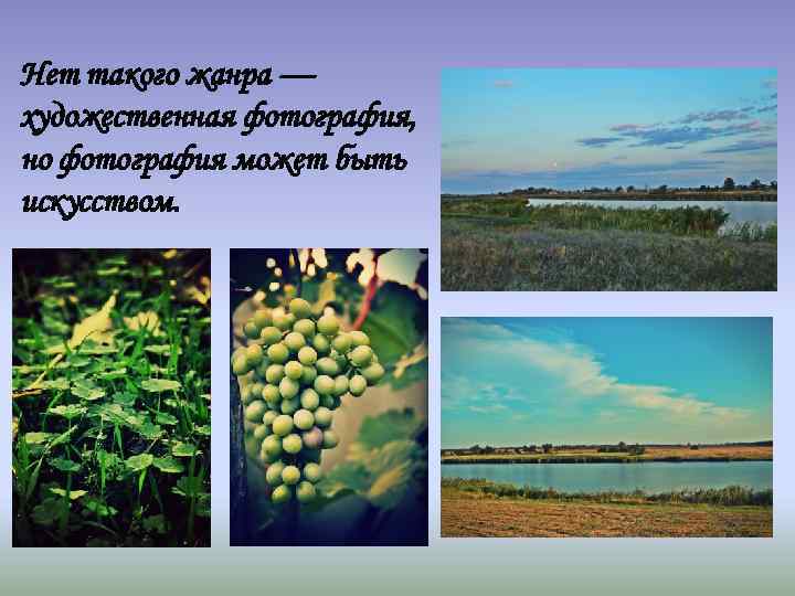 Нет такого жанра — художественная фотография, но фотография может быть искусством. 