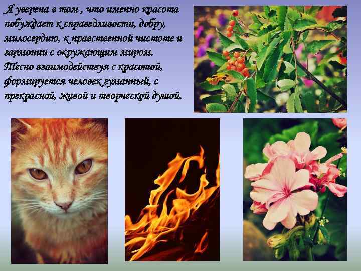Я уверена в том , что именно красота побуждает к справедливости, добру, милосердию, к