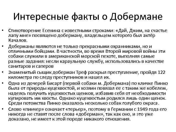 Интересные факты о Добермане • Стихотворение Есенина с известными строками: «Дай, Джим, на счастье