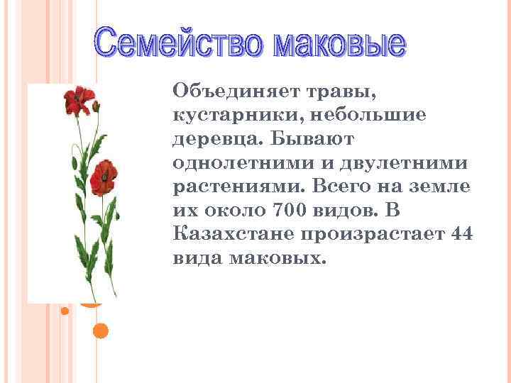 Объединяет травы, кустарники, небольшие деревца. Бывают однолетними и двулетними растениями. Всего на земле их