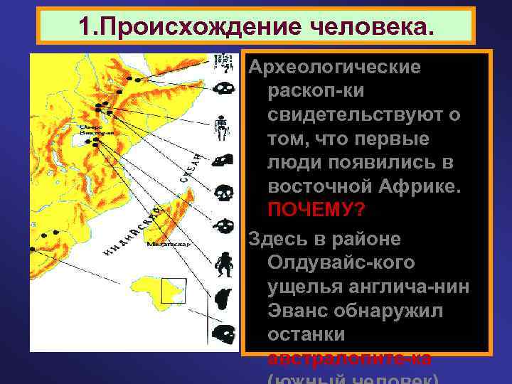 1. Происхождение человека. Археологические раскоп-ки свидетельствуют о том, что первые люди появились в восточной