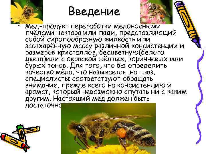 Введение • Мёд-продукт переработки медоносными пчёлами нектара или пади, представляющий собой сиропообразную жидкость или