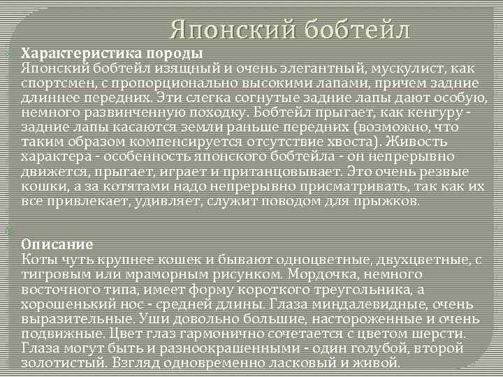 Японский бобтейл Характеристика породы Японский бобтейл изящный и очень элегантный, мускулист, как спортсмен, с