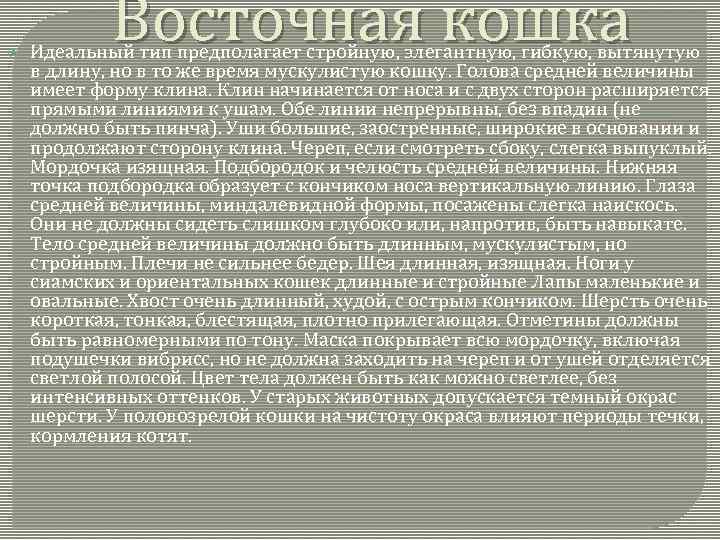  Восточная кошка Идеальный тип предполагает стройную, элегантную, гибкую, вытянутую в длину, но в
