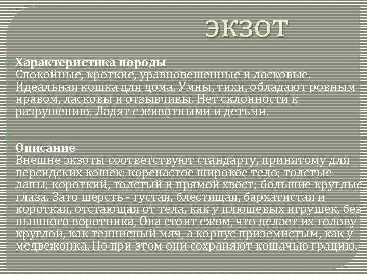 экзот Характеристика породы Спокойные, кроткие, уравновешенные и ласковые. Идеальная кошка для дома. Умны, тихи,