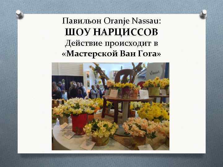 Павильон Oranje Nassau: ШОУ НАРЦИССОВ Действие происходит в «Мастерской Ван Гога» 