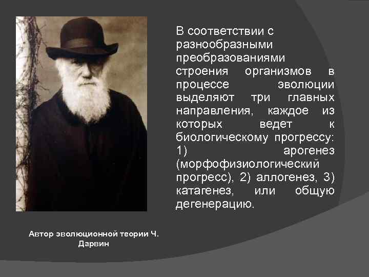 В соответствии с разнообразными преобразованиями строения организмов в процессе эволюции выделяют три главных направления,