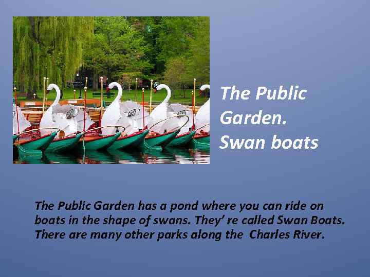 The Public Garden. Swan boats The Public Garden has a pond where you can