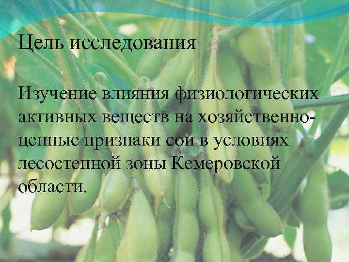 Цель исследования Изучение влияния физиологических активных веществ на хозяйственноценные признаки сои в условиях лесостепной