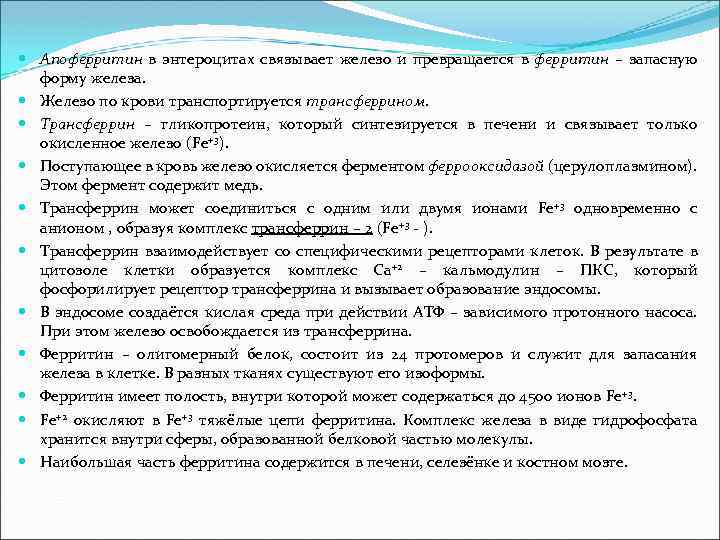  Апоферритин в энтероцитах связывает железо и превращается в ферритин – запасную форму железа.