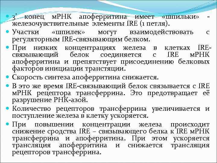  3’ конец м. РНК апоферритина имеет «шпильки» железочувствительные элементы IRE (1 петля). Участки