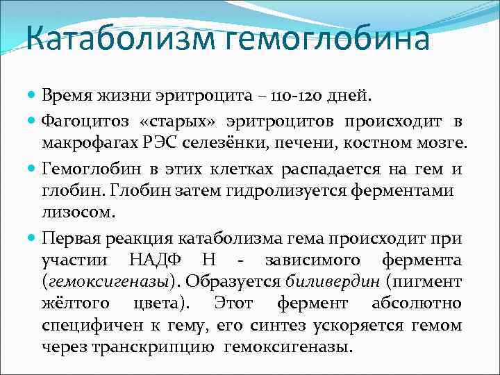 Катаболизм гемоглобина Время жизни эритроцита – 110 -120 дней. Фагоцитоз «старых» эритроцитов происходит в