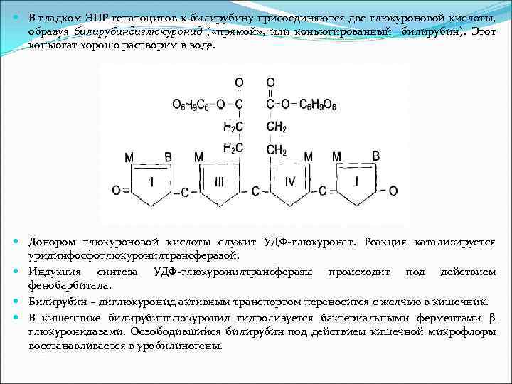 Схема синтеза гема биохимия