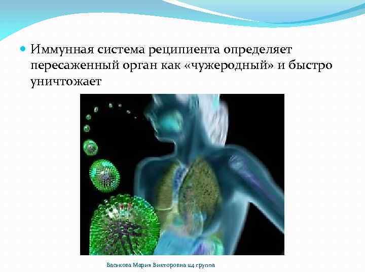  Иммунная система реципиента определяет пересаженный орган как «чужеродный» и быстро уничтожает Васькова Мария