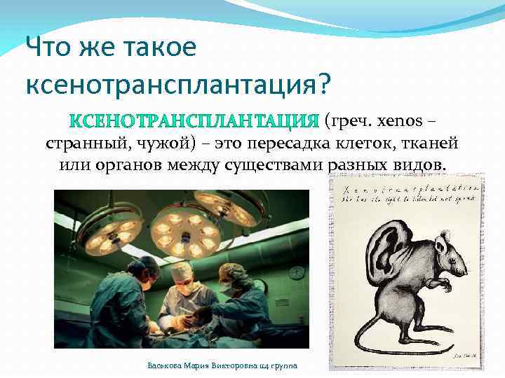 Что же такое ксенотрансплантация? (греч. xenos – странный, чужой) – это пересадка клеток, тканей