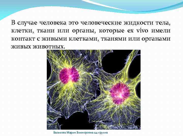 В случае человека это человеческие жидкости тела, клетки, ткани или органы, которые ех vivo