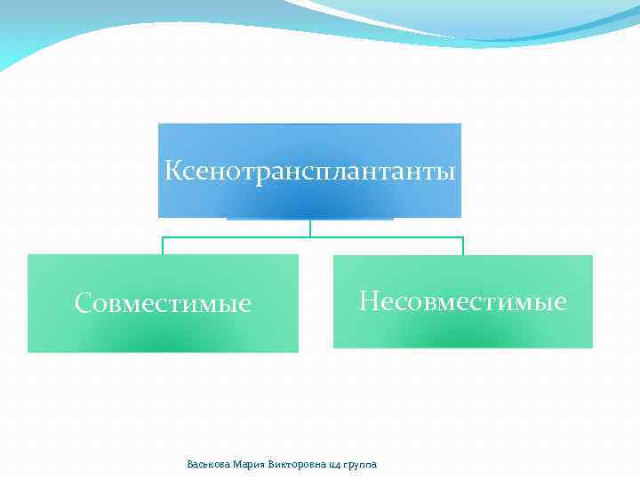 Ксенотрансплантанты Совместимые Несовместимые Васькова Мария Викторовна 114 группа 