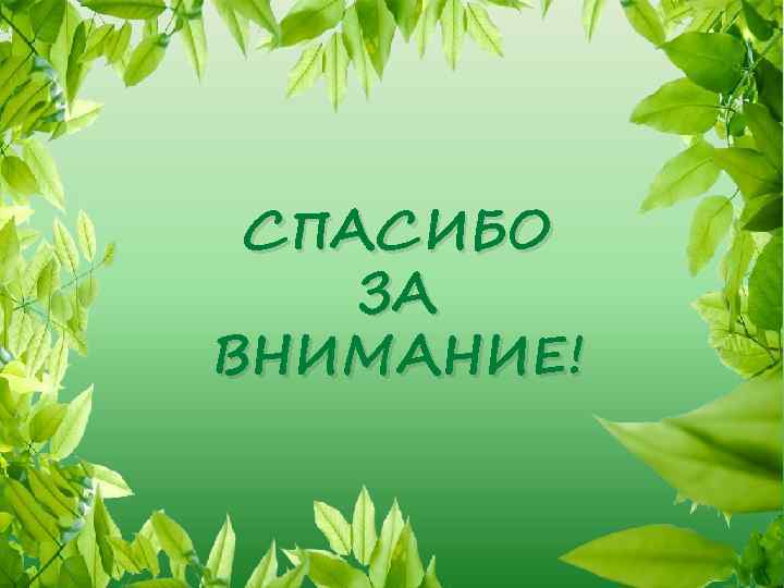 СПАСИБО ЗА ВНИМАНИЕ! 