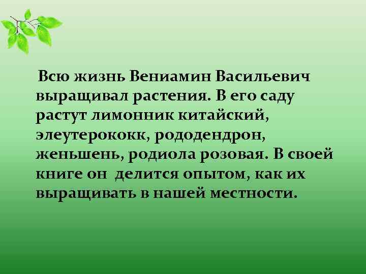  Всю жизнь Вениамин Васильевич выращивал растения. В его саду растут лимонник китайский, элеутерококк,