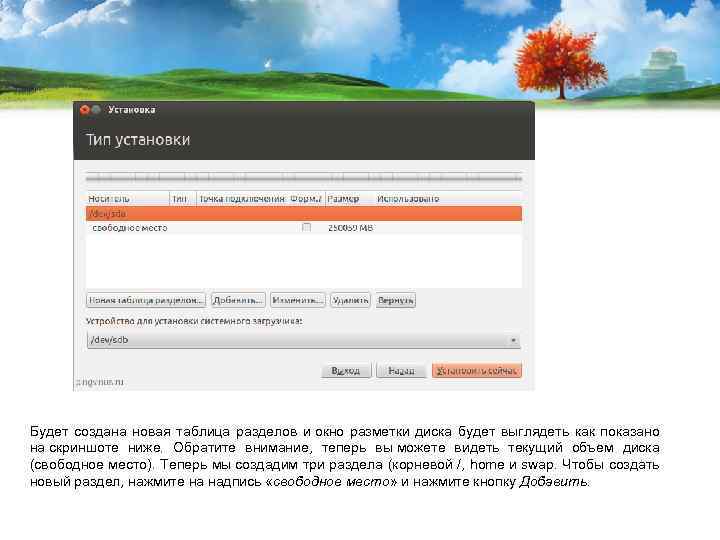 Будет создана новая таблица разделов и окно разметки диска будет выглядеть как показано на