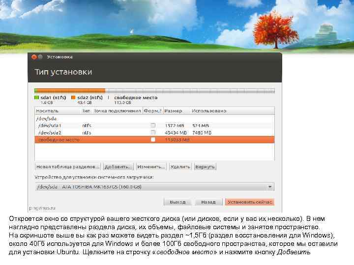 Откроется окно со структурой вашего жесткого диска (или дисков, если у вас их несколько).