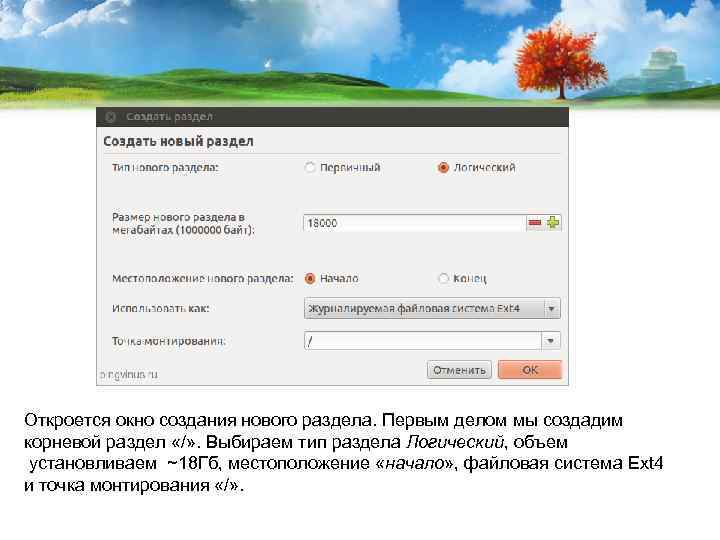 Откроется окно создания нового раздела. Первым делом мы создадим корневой раздел «/» . Выбираем
