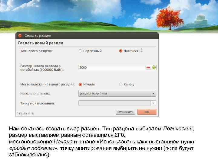 Нам осталось создать swap раздел. Тип раздела выбираем Логический, размер выставляем равным оставшимся 2